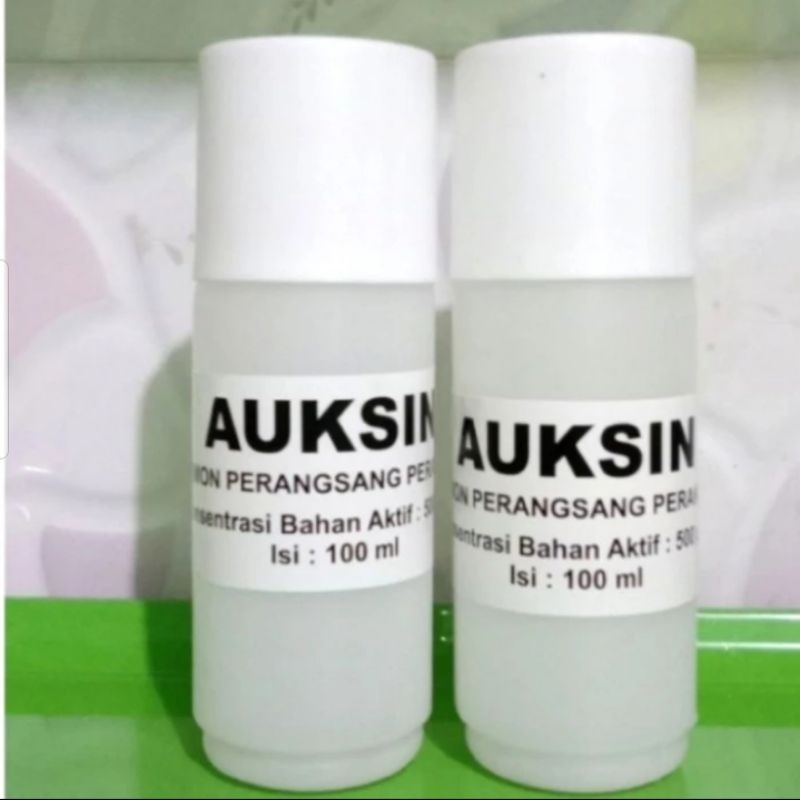 hormon tanaman auksin