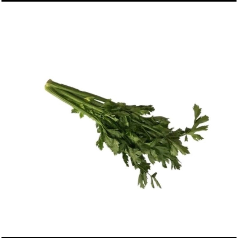 

Daun Seledri paket 250gr