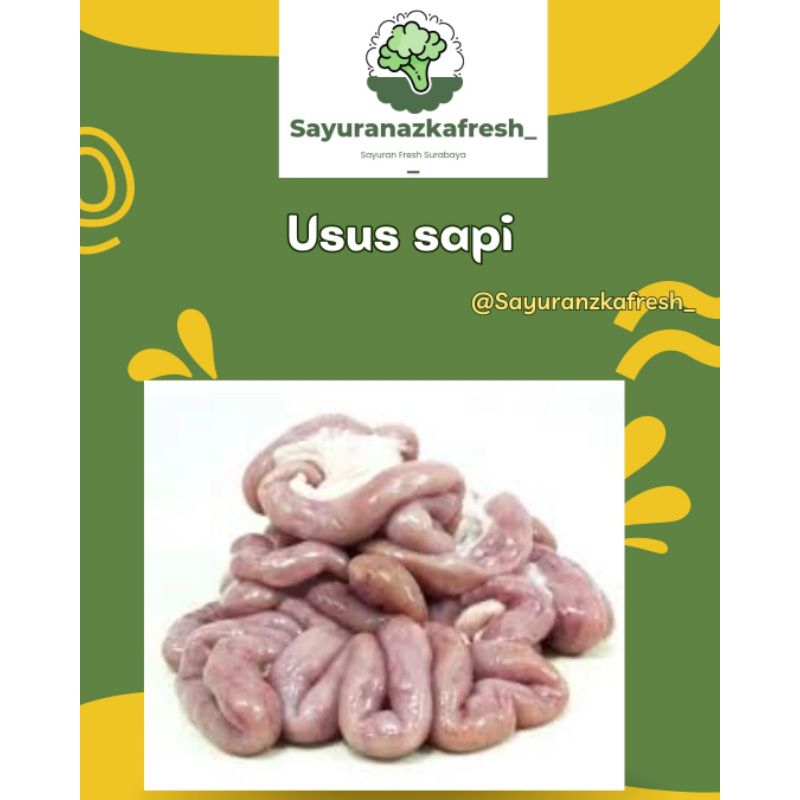 

usus sapi