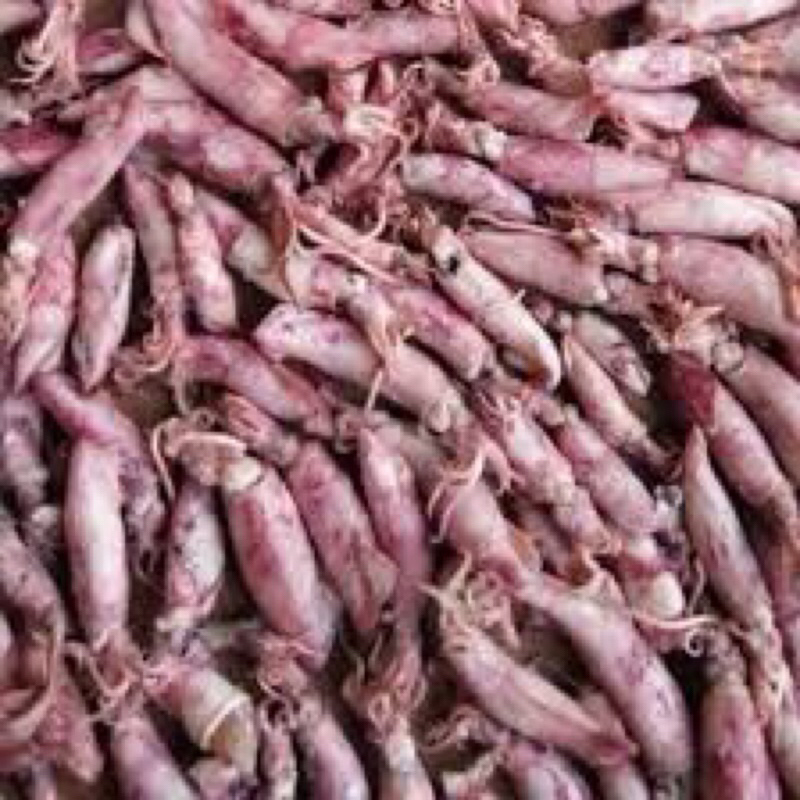 

baby cumi kering super 500 gr