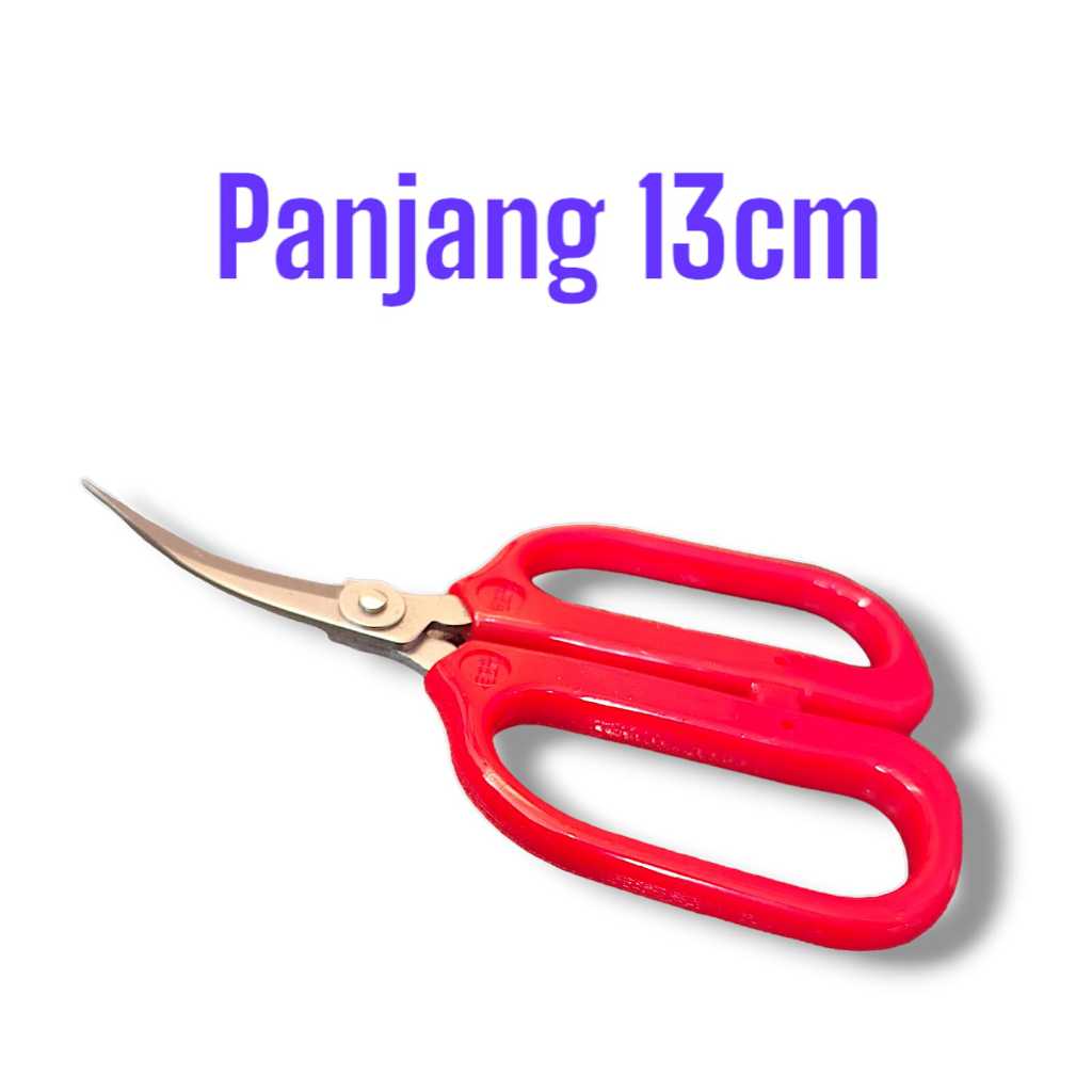 

Gunting Prunning Daun Pin S206 Gagang Merah Panjang 13 Cm