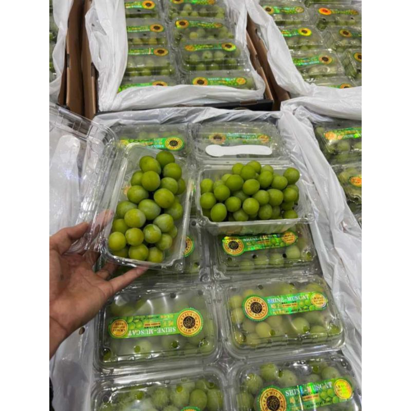 

Anggur Shine Muscat 1 dus 10pack 500gr Seedless