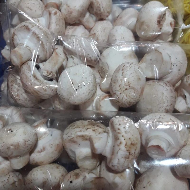 

jamur kancing 250gr