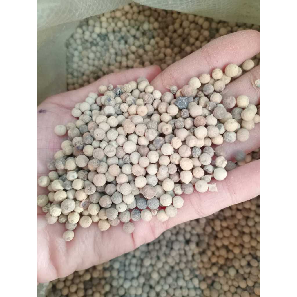 

Lada MPA putih kemasan 1kg