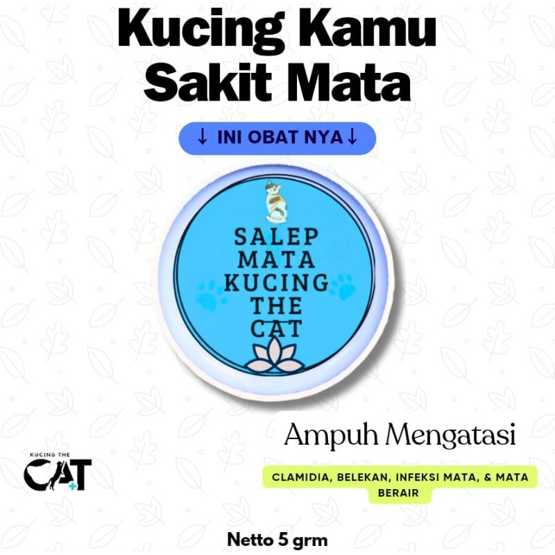 obat mata kucing clamidia - salep mata kucing clamidia - obat mata kucing
