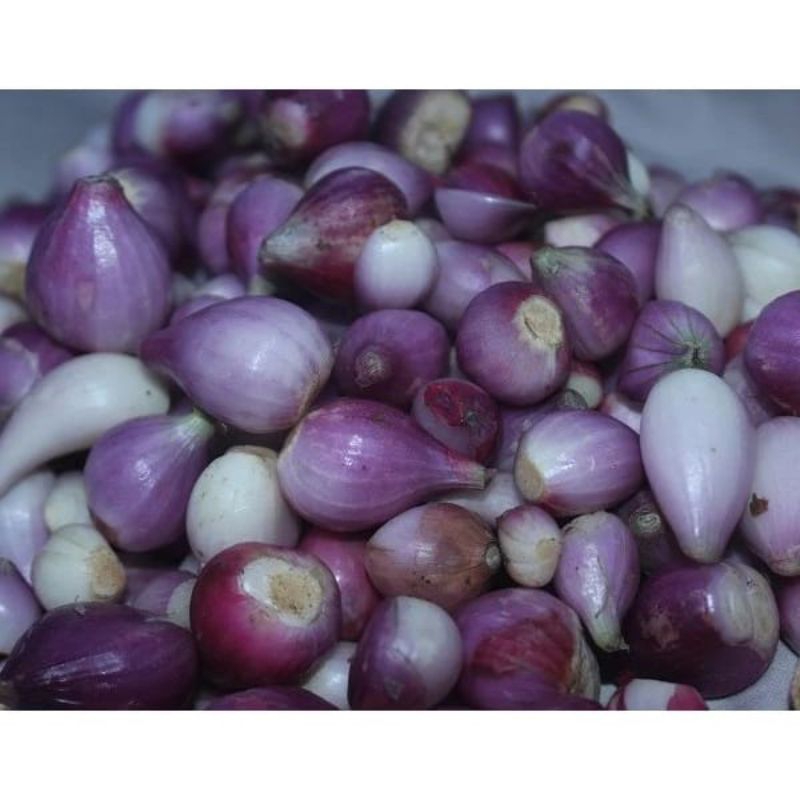 

bawang merah kupas ukuran 250gr