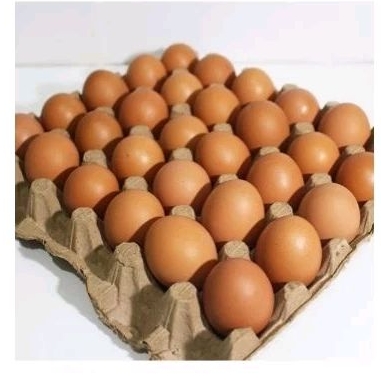 

Telur Ayam 1kg