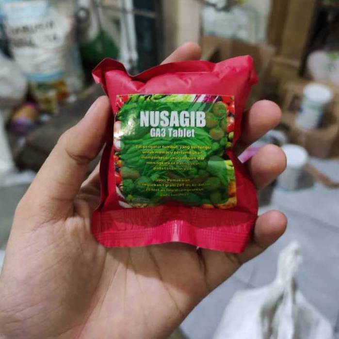 NUSAGIB GA3 TABLET