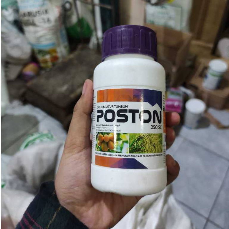 POSTON ZPT Zat Pengatur Tumbuh Poston 250 SC paklobrutazol