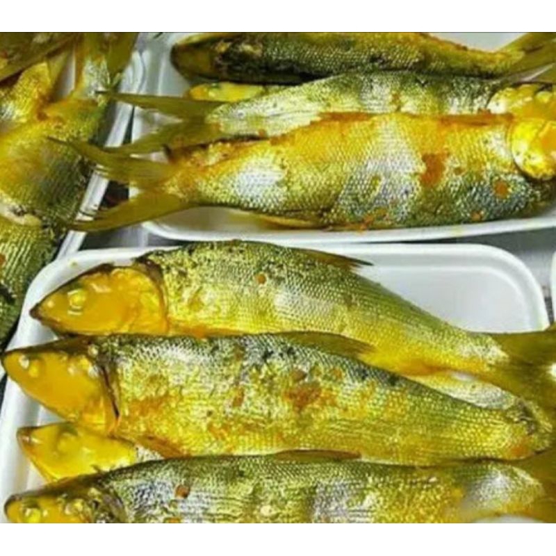 

Bandeng Presto (Duri Lunak)