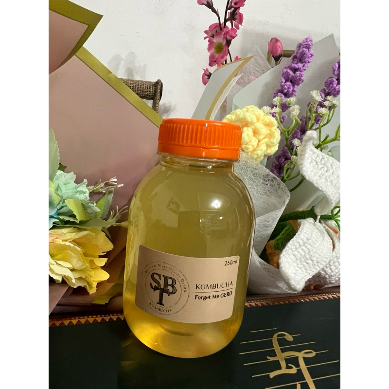 

KOMBUCHA FORGET ME GERD 250ml