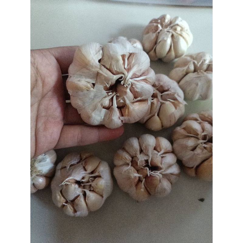

bawang putih 100 g murah