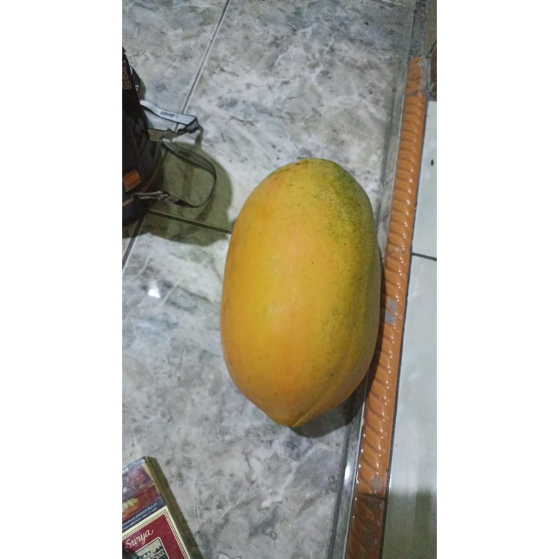 

Buah segar siap antar
