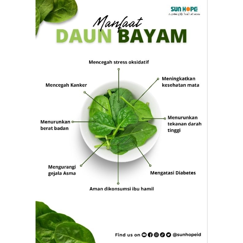 Sun Hope Green Vibrance