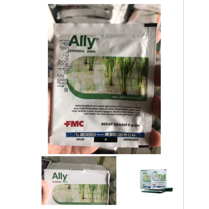 Ally 20 WG - Herbisida sistemik