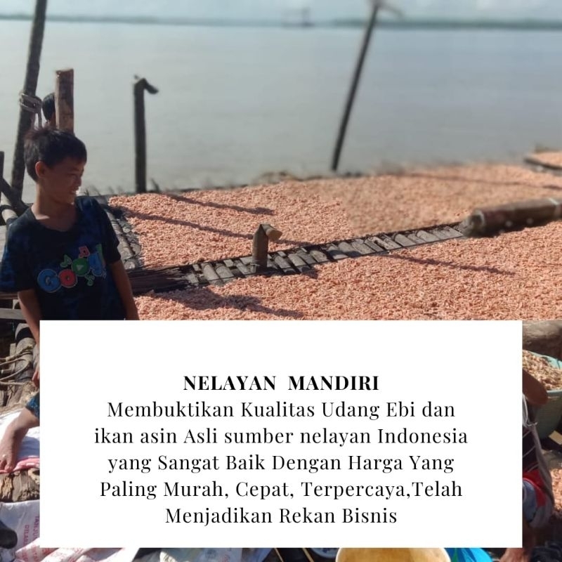 

UDANG EBI PALEMBANG 1kg