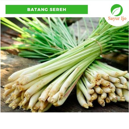 

Batang Sereh -/+ 480 - 500 Gram Fresh Lemongrass Serei Sayur Hijau Segar