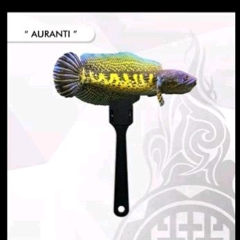 

Stiker isi Auranti (jualiwak)Marqisyafish