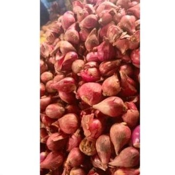 

bawang merah berebes pak sr 500g