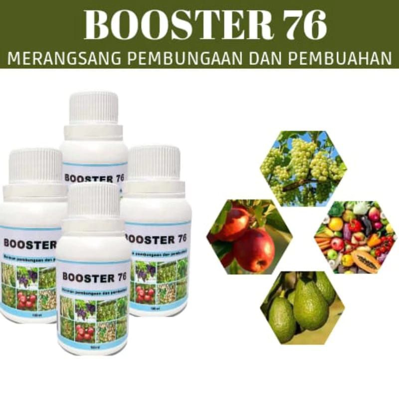 BOOSTER 76 HORMON PEMBUNGAAN DAN PEMBUAHAN