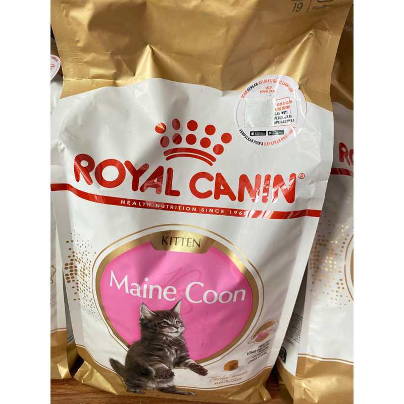 royal canin mainecoon kitten