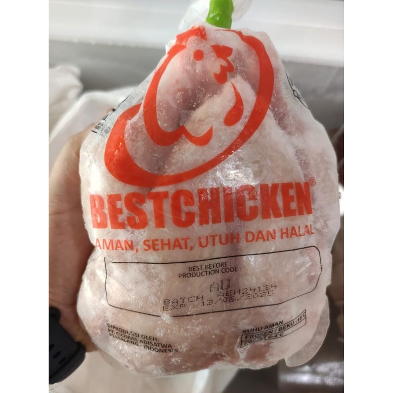 

AYAM UTUH 0,7 / 0.8 / 0.9 /1.3 /1.4 BEKU FRESH HALAL PONTIANAK