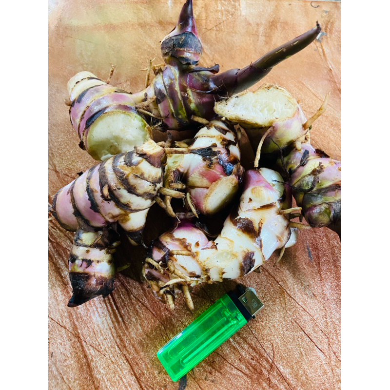 

Umbi ganyong merah segar 500 gram organik-az