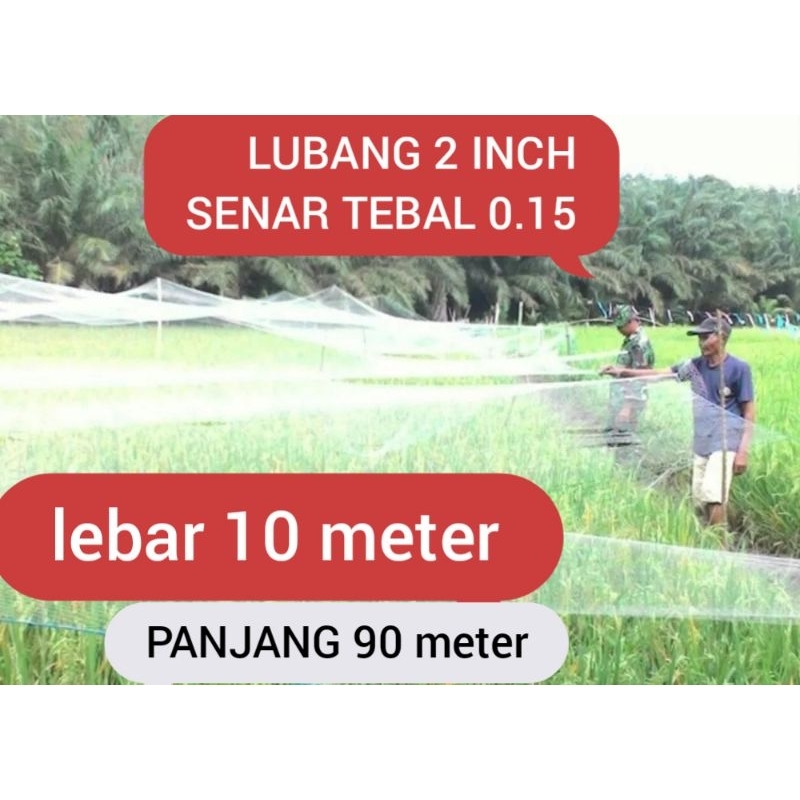 jaring sawah 10 meter × 90 meter jaring padi jaring burung emprit burung pipit jaring perangkap buru