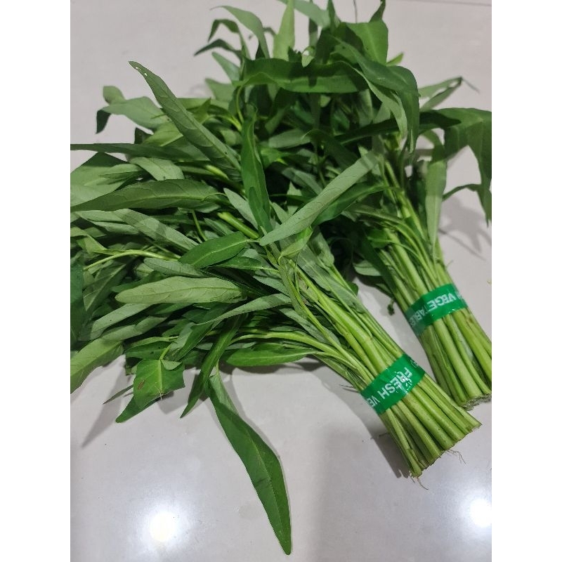 

Sayuran kangkung segar