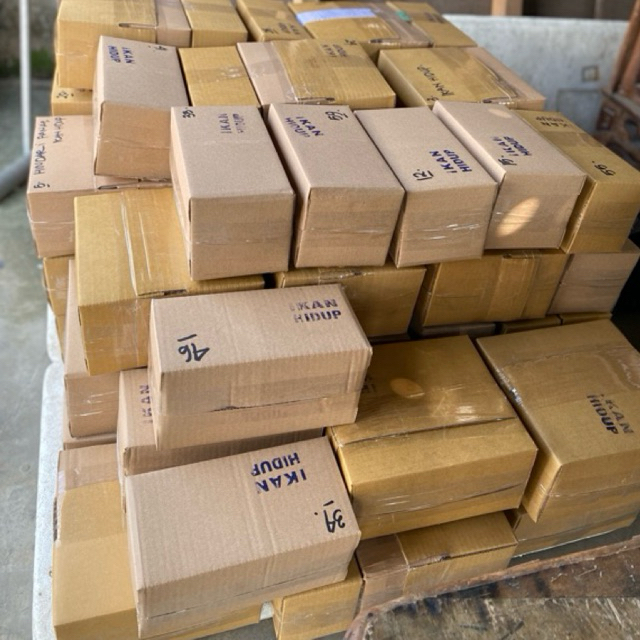 

kardus packing (agar bisa klaim garansi)