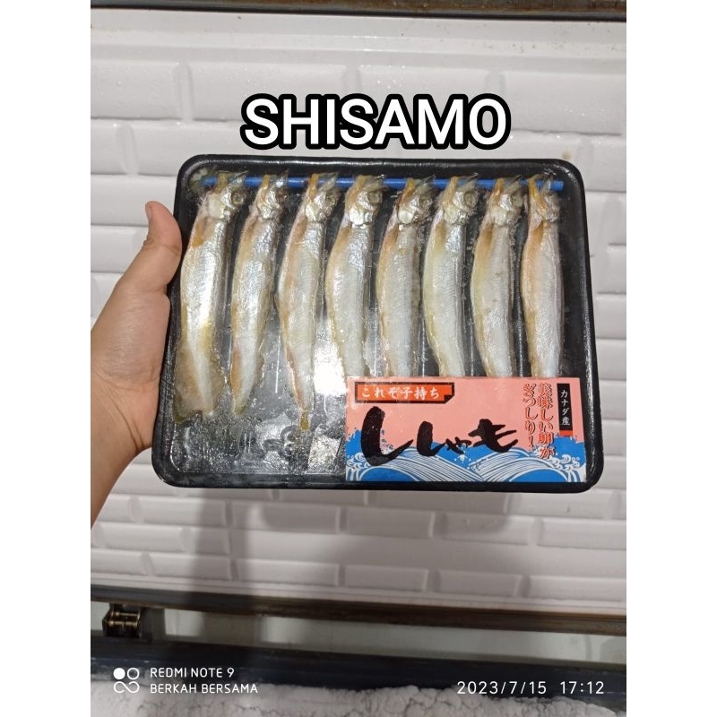 

shisamo ikan cipung