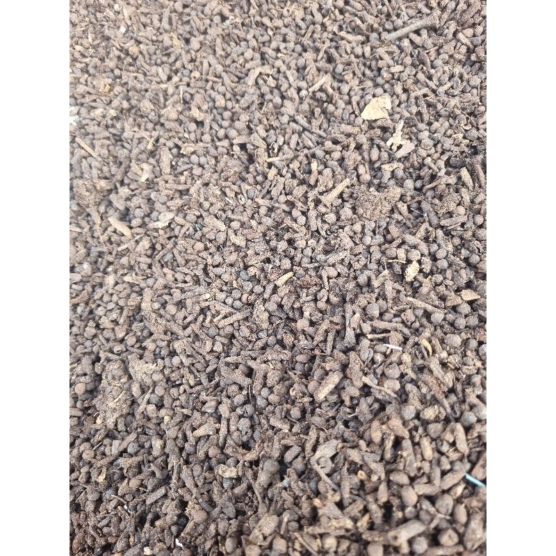 Klenteng / Kompos Randu / Media Tanam / Kompos Organic / Media Sansevieria