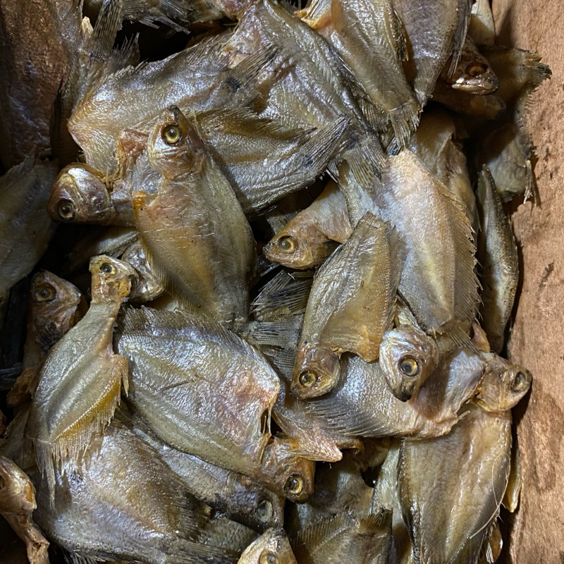 

Ikan asin sepat kecil/pakrik 250gr