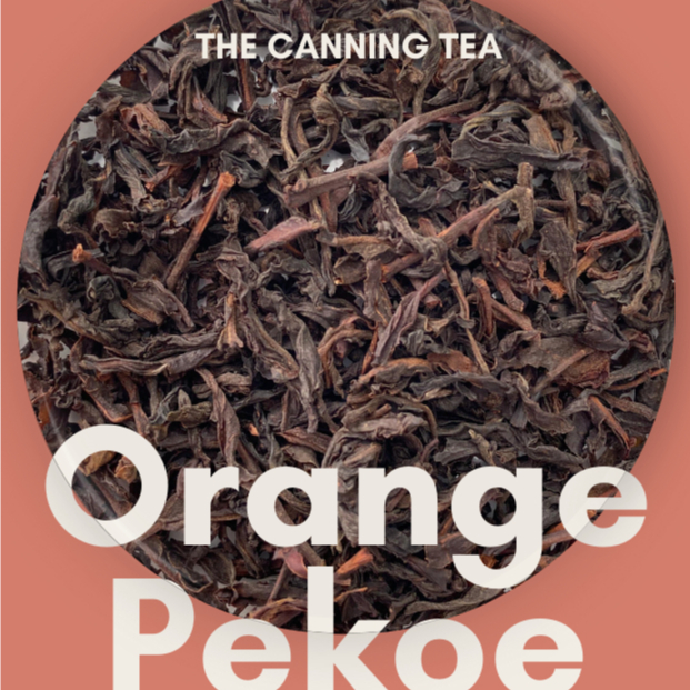 

Teh Orange Pekoe Premium dari Malabar | Teh Hitam Premium | Pyramid Tea Bag | THE CANNING TEA