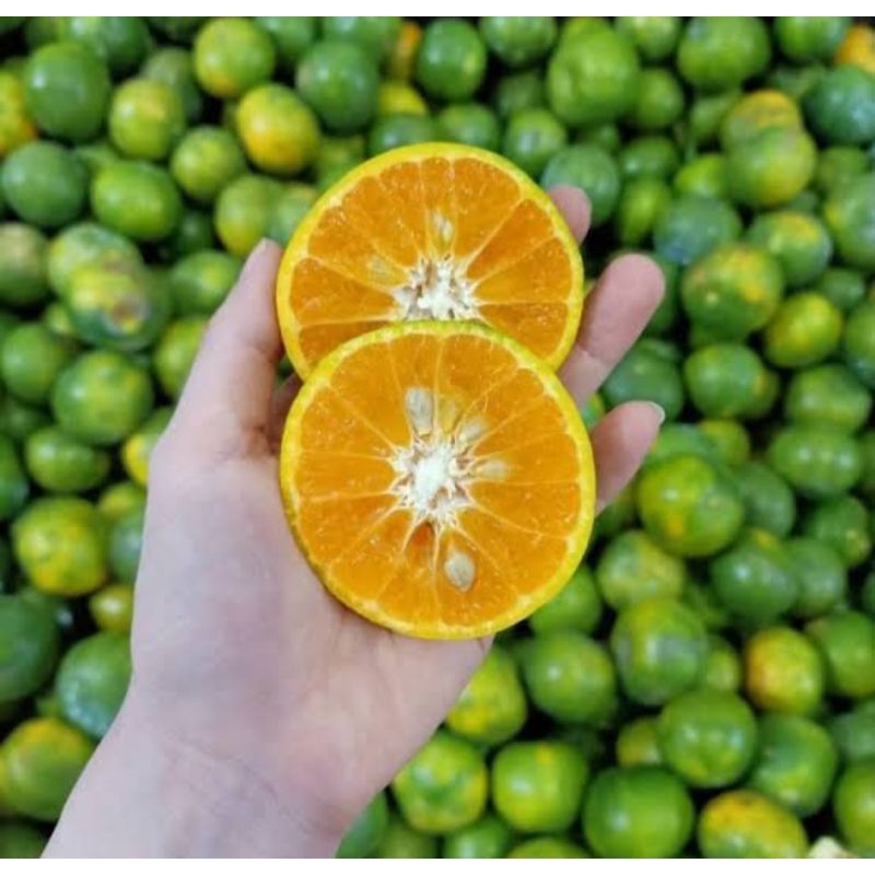 

jeruk peras 500 gram segar