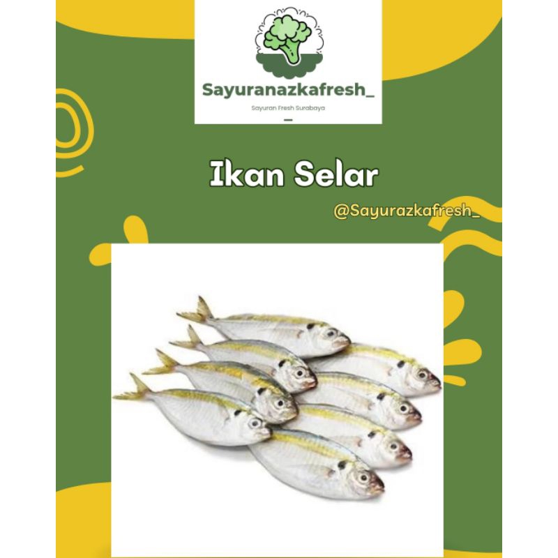 

ikan Selar [±1kg]