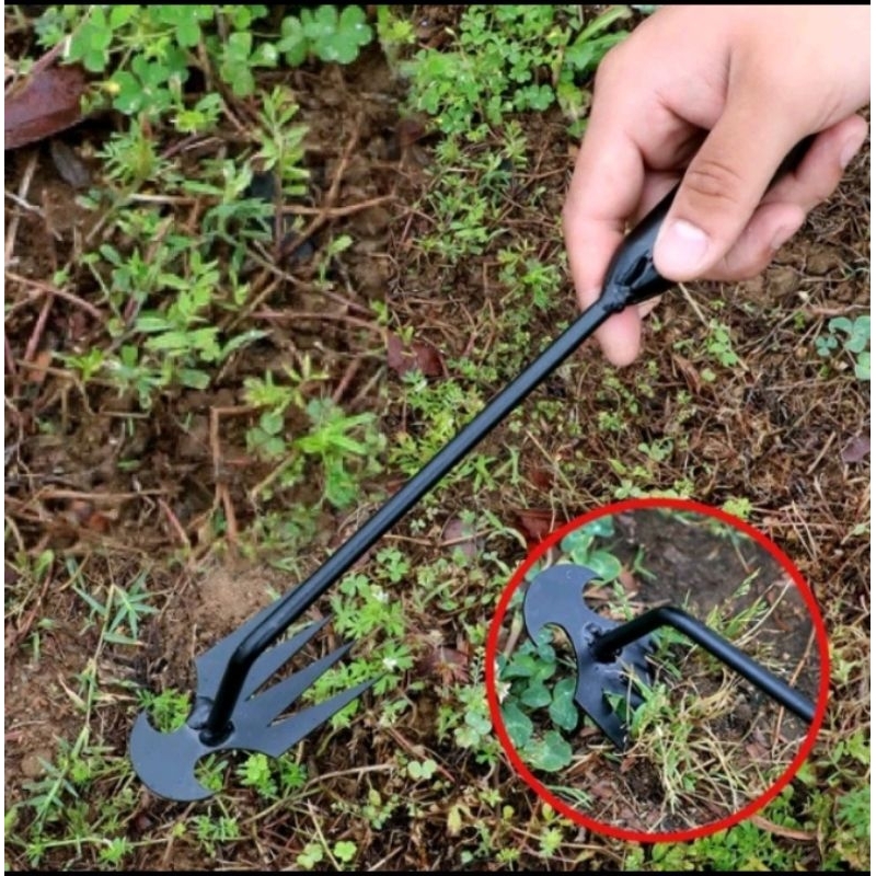 cangkul rumput rumput cangkul pencabut rumput weding garu hoe