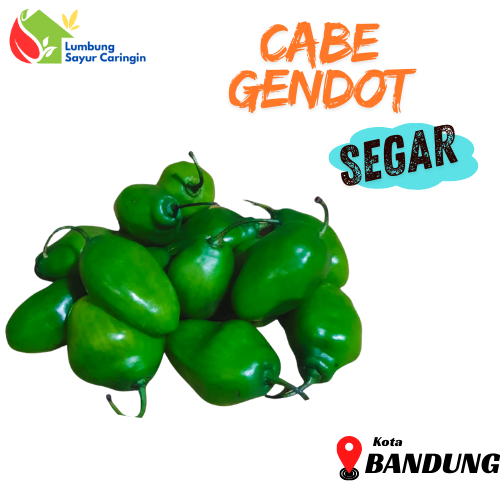 

Cabe Gendot Hijau Segar 250 Gram Bandung