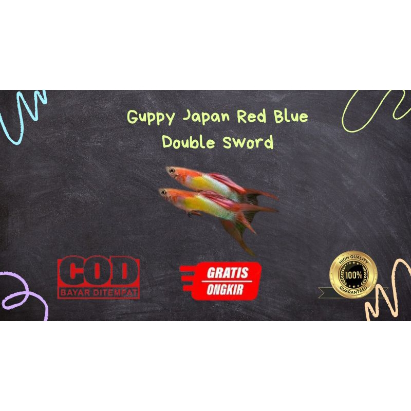 

Packing kardus / styrofoam gupp¥ jap4n blue red double sword