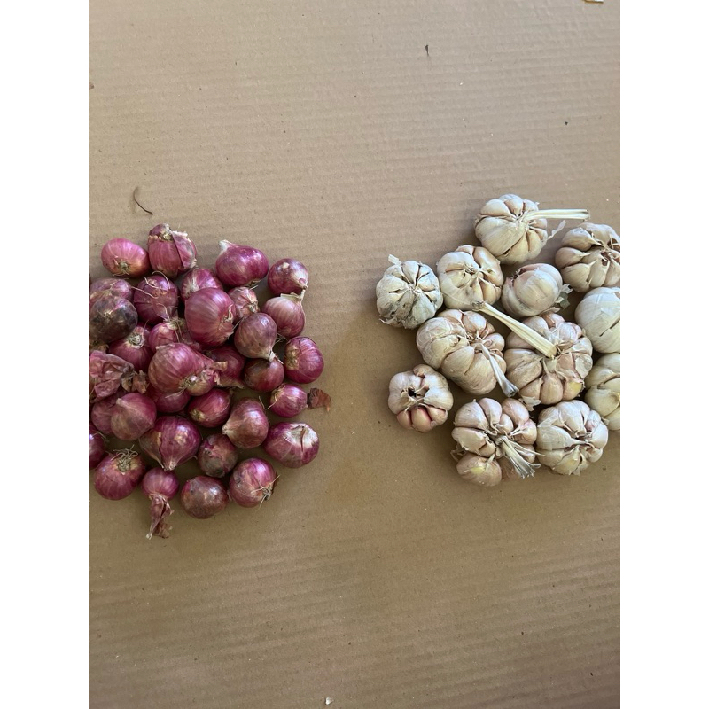 

PAKET BAWANG MERAH - BAWANG PUTIH