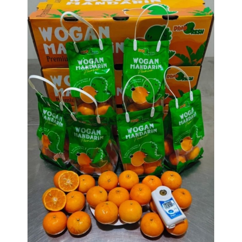 

jeruk wogan dino kantong