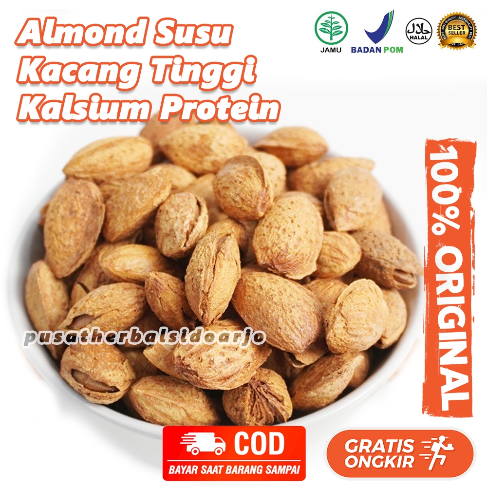 

Kacang Almond Panggang Susu Roasted Almond Mlik Premium Almond Kupas Almond Kulit Almond Cangkang