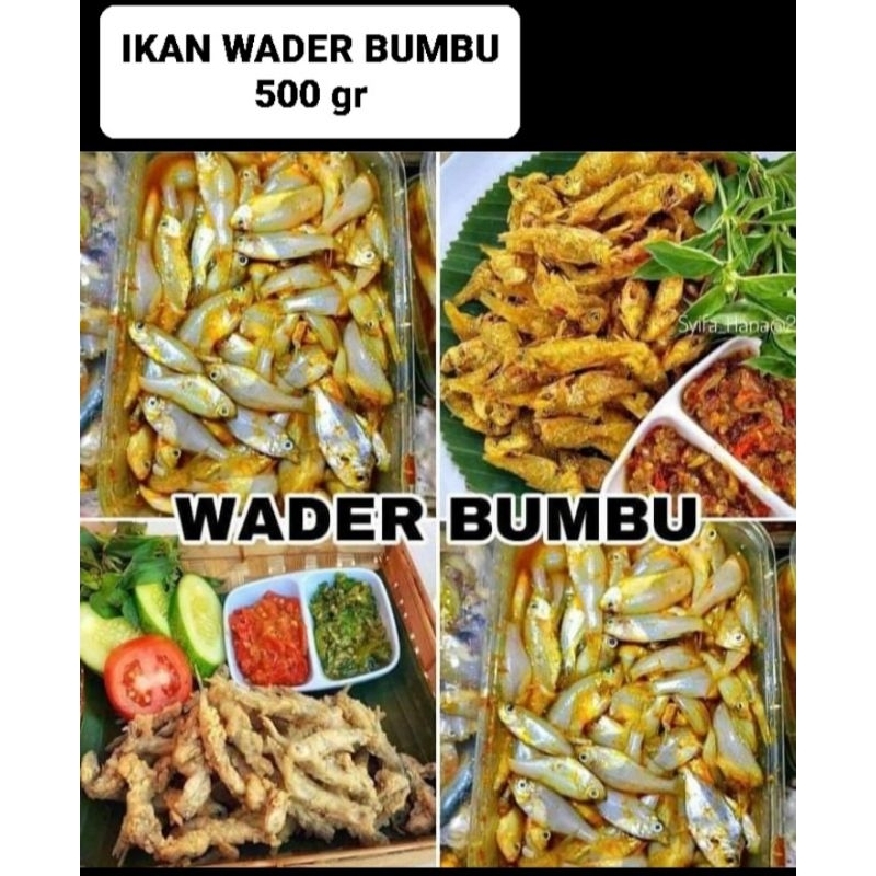 

WADER BUMBU MARINASI FROZEN 500 gr