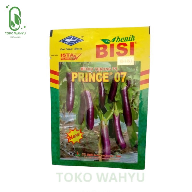 BENIH TERONG PRINCE BISI