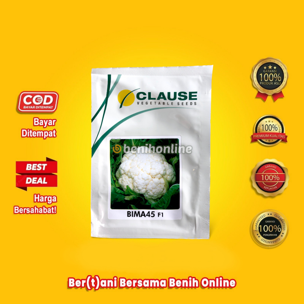 BENIH KEMBANG KOL - BIMA 45 F1 - 10 Gram - BENIH Clause