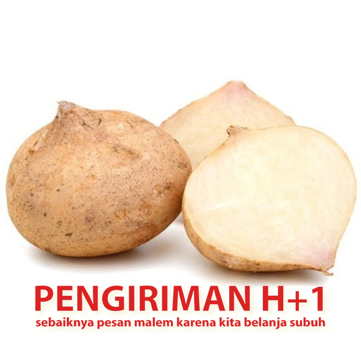 

Bangkuang Bengkoang fresh sayuran segar