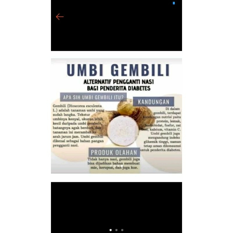 

Umbi gembili ketan medhuk fresh utk diabetes murah 1kg