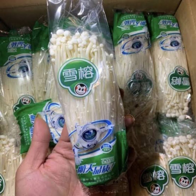 

Enoki 1 DUS