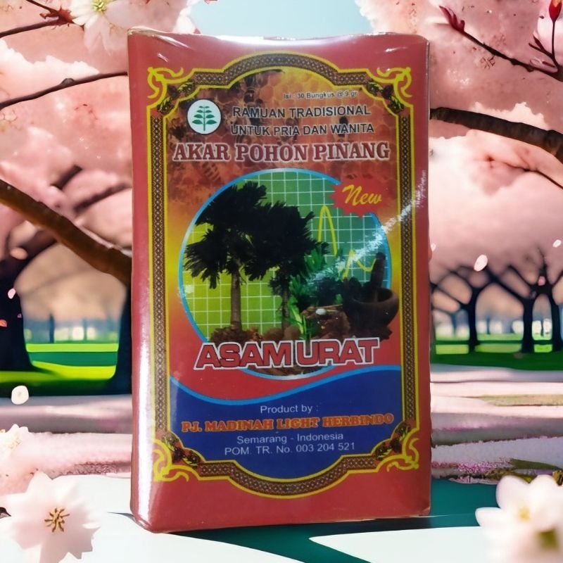 Jamu asam urat akar pohon pinang