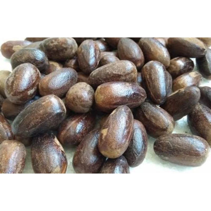 

Biji pala utuh 1pcs biji polo